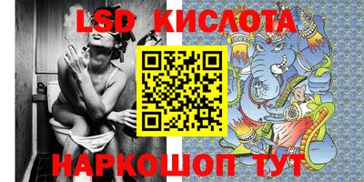 стаф Камышлов