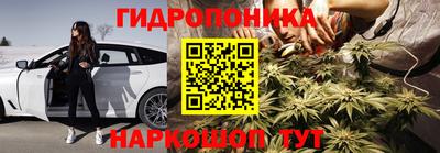стаф Камышлов